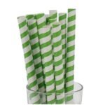 Bubble Tea Paper Straws   Green Stripe (250)