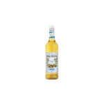 MONIN Hazelnut Sugar Free Syrup 1L
